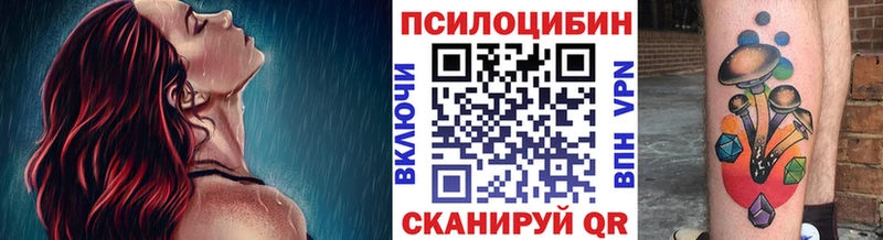 мега Суворов Галлюциногенные грибы Cubensis где можно купить